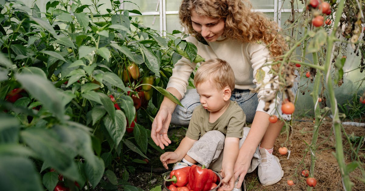 Substituting Peppers - Girl in Gray T-shirt Sitting Beside Girl in Gray T-shirt