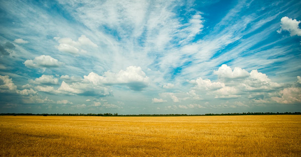 Sugar-free chewy texture with a starch or hydrocolloid - Photo Of Grass Field