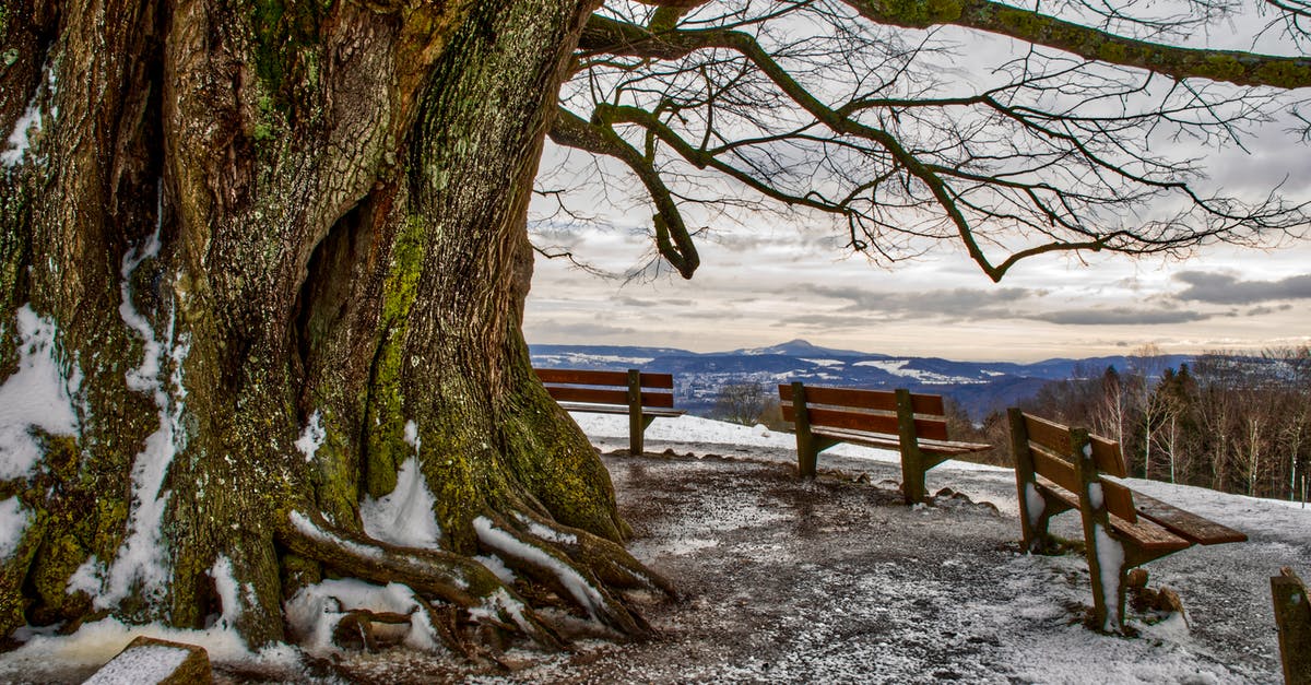 Sugar/salt frosted around the top of a cup/mug - Picturesque view from top of hill with thick trunk of big leafless tree and wooden benches on blue faraway lowland under cloudy sky in evening