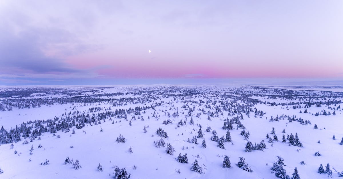 Sugar/salt frosted around the top of a cup/mug - Snow Covered Field