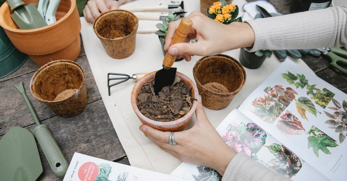 Thawing frozen seafood mix is a lot of work - From above of crop anonymous gardener with shovel preparing soil for seedling at table with opened book with illustrations