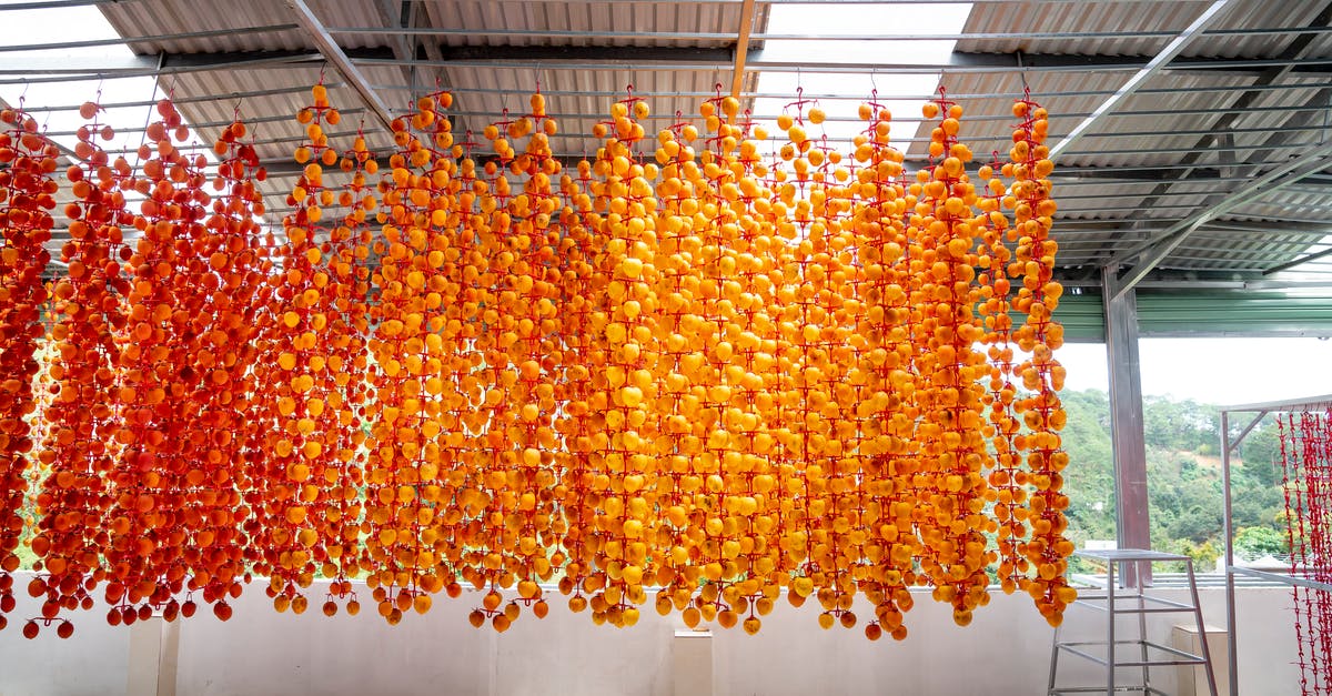 The persimmon jam makes my tongue dry - Persimmons hanging on rack while drying in construction