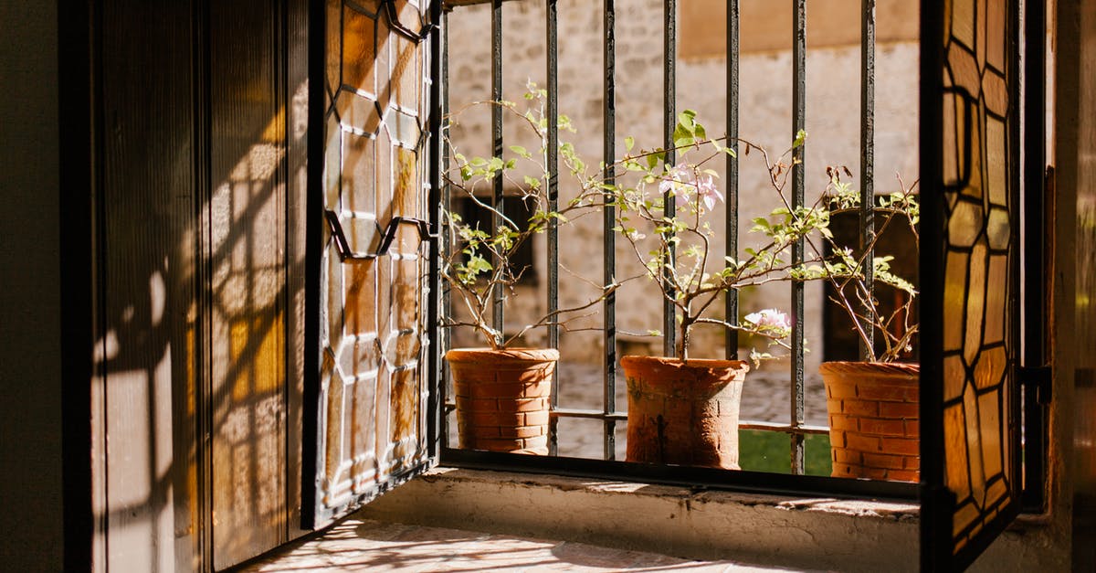 Thinning copper-bottomed staninless pot - Clay pots with green plants near metal bars and open shutters of aged masonry building in sunlight