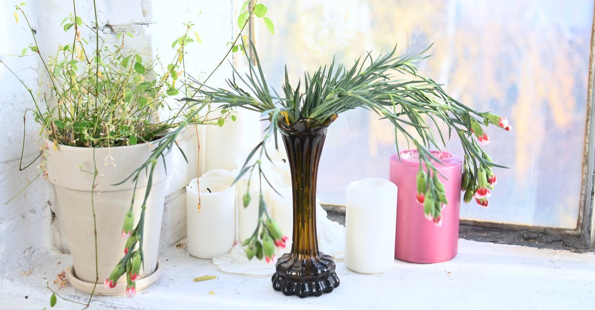 Thinning copper-bottomed staninless pot - Vase with blossoming flowers near Maidenhair in pot and wax candles against window at home