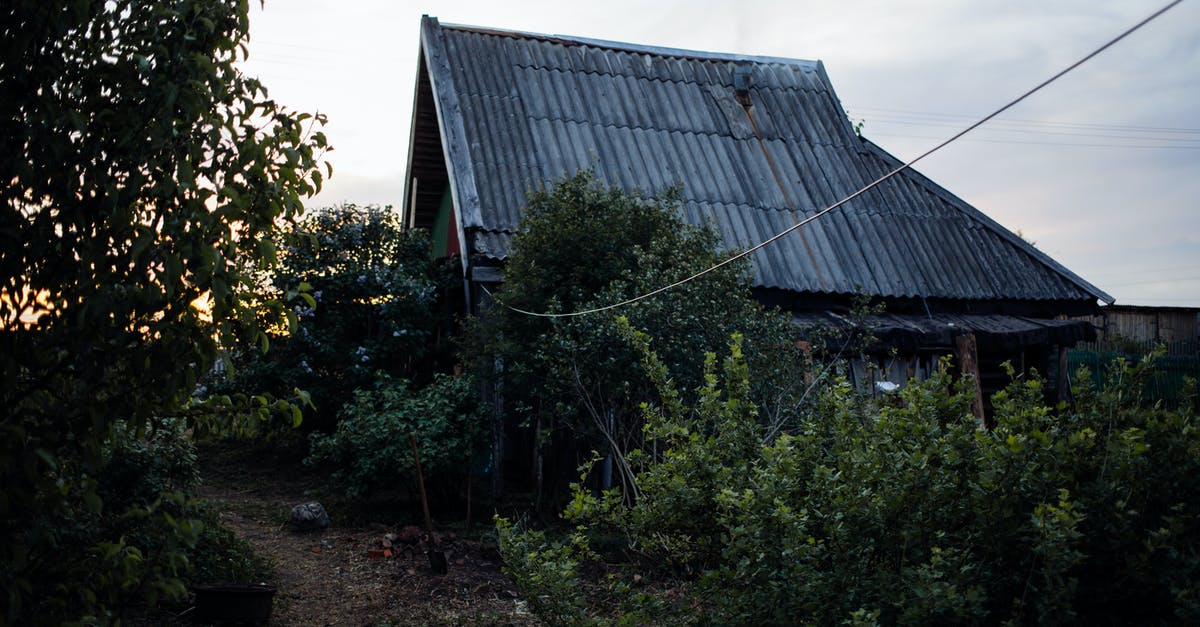 Three day old pancake batter with grey spots - Small house near green trees in countryside