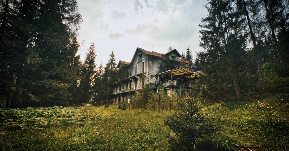 To what extent is curcumin destroyed by boiling? - Brown Wooden House Surrounded by Green Trees Under White Clouds