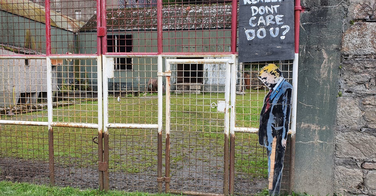 To what extent is curcumin destroyed by boiling? - Man in Blue Jacket Standing Near White Metal Fence