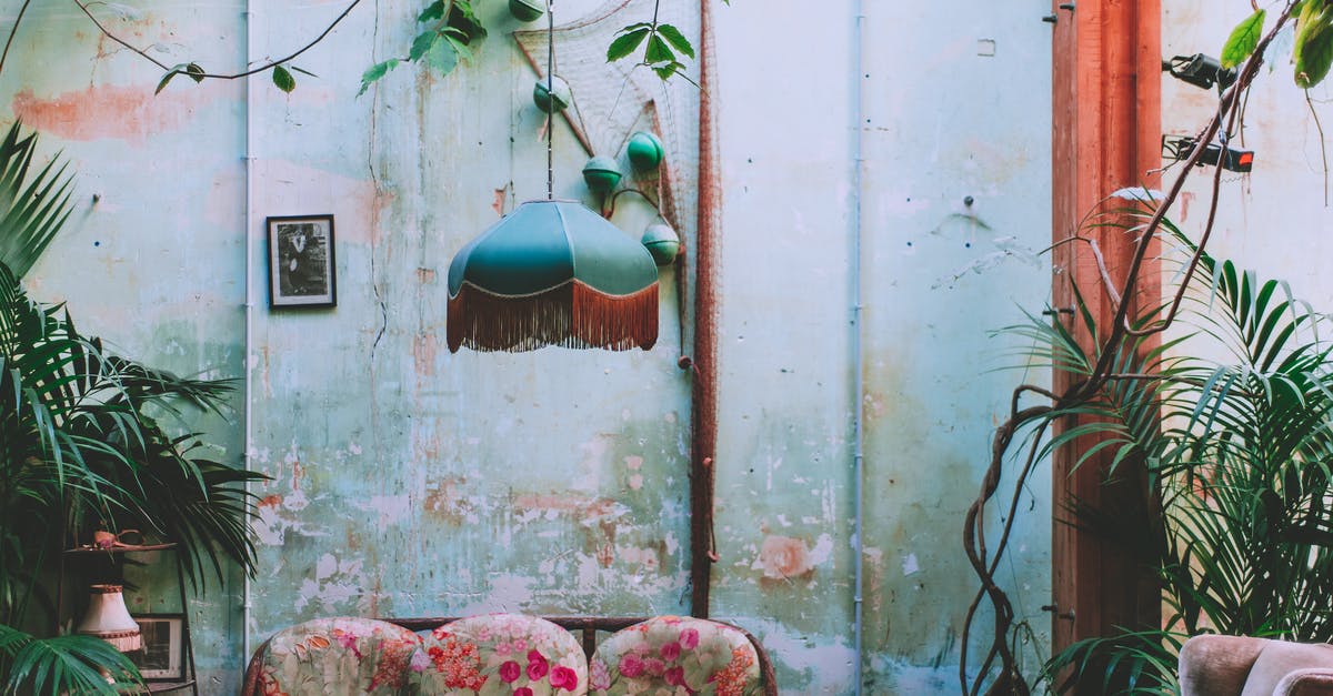 Toads with a flat batter-y - Interior of room with vintage chandelier and green plants growing above old coach at shabby wall with wooden column