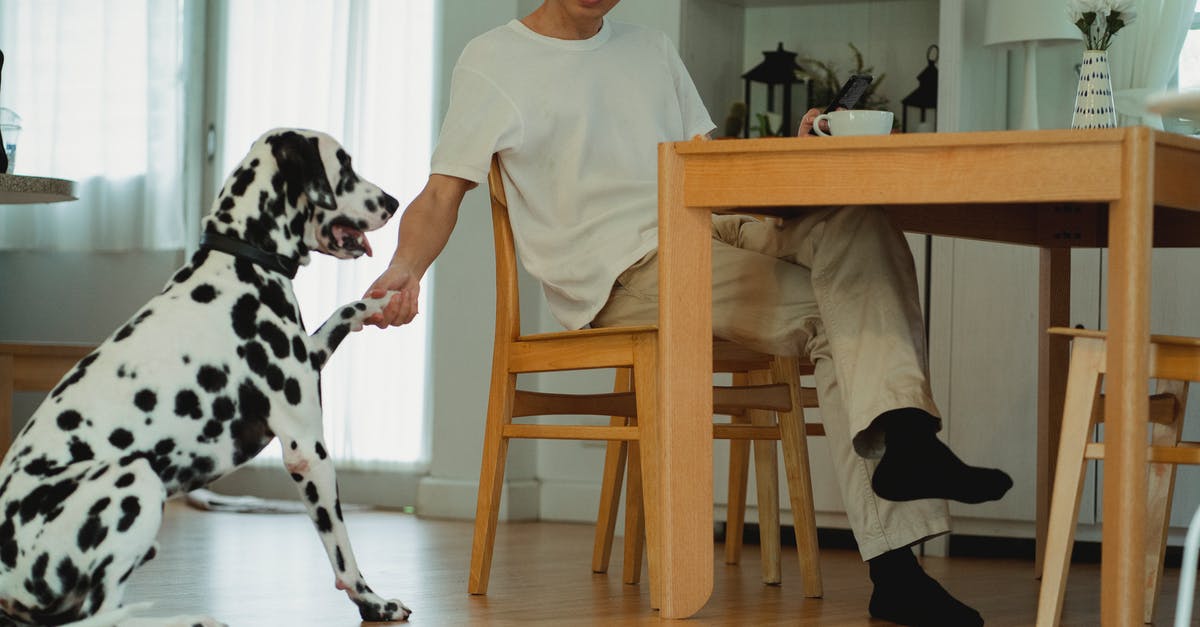 Tricks for removing sausage casing? - Woman in White Long Sleeve Shirt Sitting Beside Dalmatian Dog