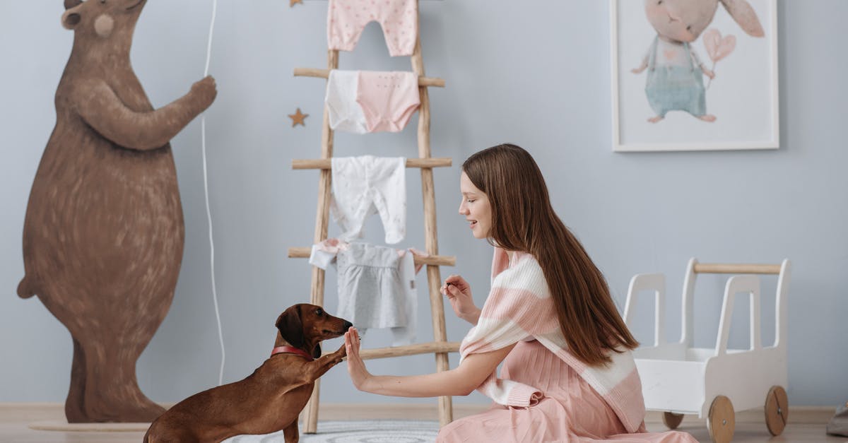 Tricks of griling kabab - A Pregnant Woman Training Her Dog