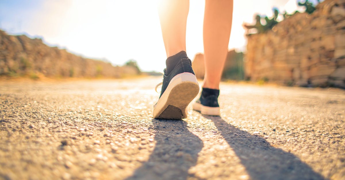 Troubleshooting braised turkey legs dry and tough - Woman Walking on Pathway Under The Sun