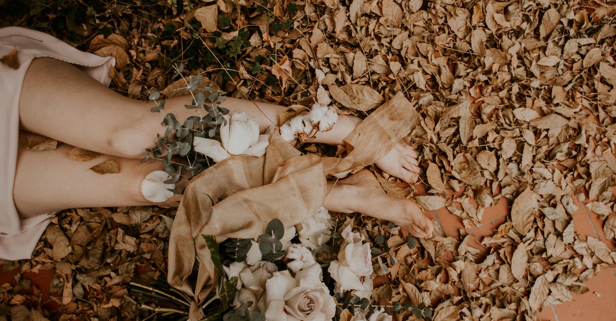 Troubleshooting braised turkey legs dry and tough - Woman Legs Beside Flowers