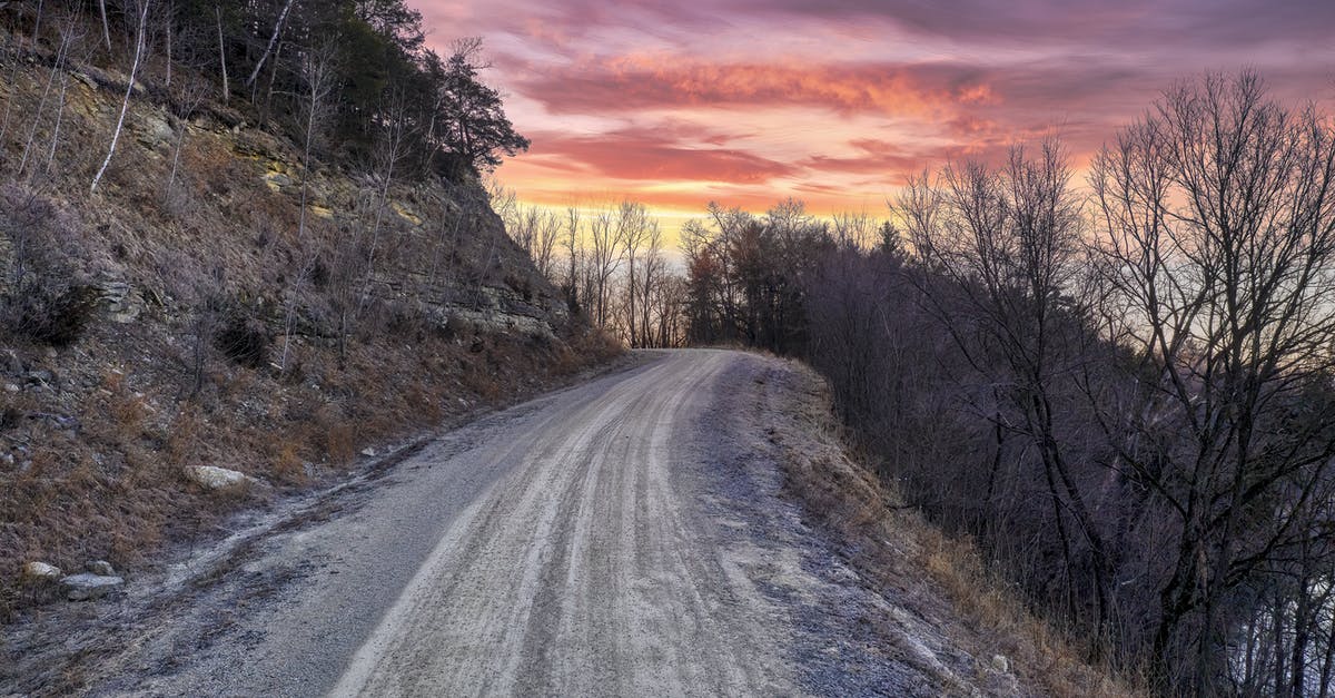 troubleshooting katsu(Japanese schnitzel) breading falling off - Gray Road Between Brown Trees during Sunset