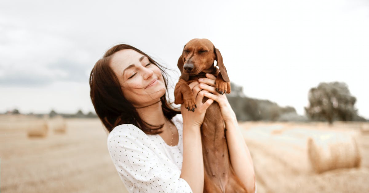 turkey with beautiful browned skin that doesn't stick to the meat - Smiling Woman Carrying Brown Dachshund