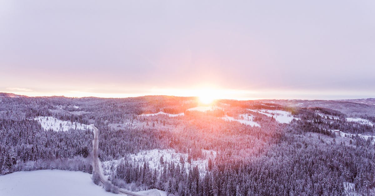 Unable to make yogurt in cold climate - Aerial Photo of Forest