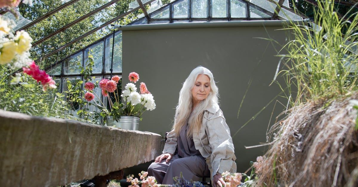 Undercooked eggs that were in the pot plenty long - A Woman Sitting and Looking Down on Peach and White Flowers