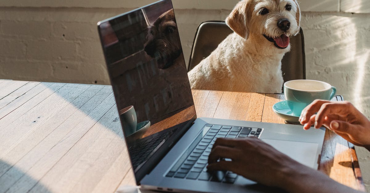 Use any part of an animal for making stock/broth? - Crop anonymous young African American female freelancer using netbook and drinking coffee while sitting at table near dog