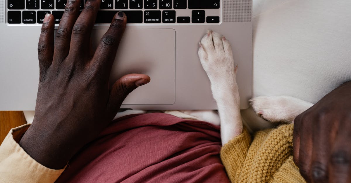 Use any part of an animal for making stock/broth? - Top view of crop unrecognizable African American male typing on netbook with paw of dog aside