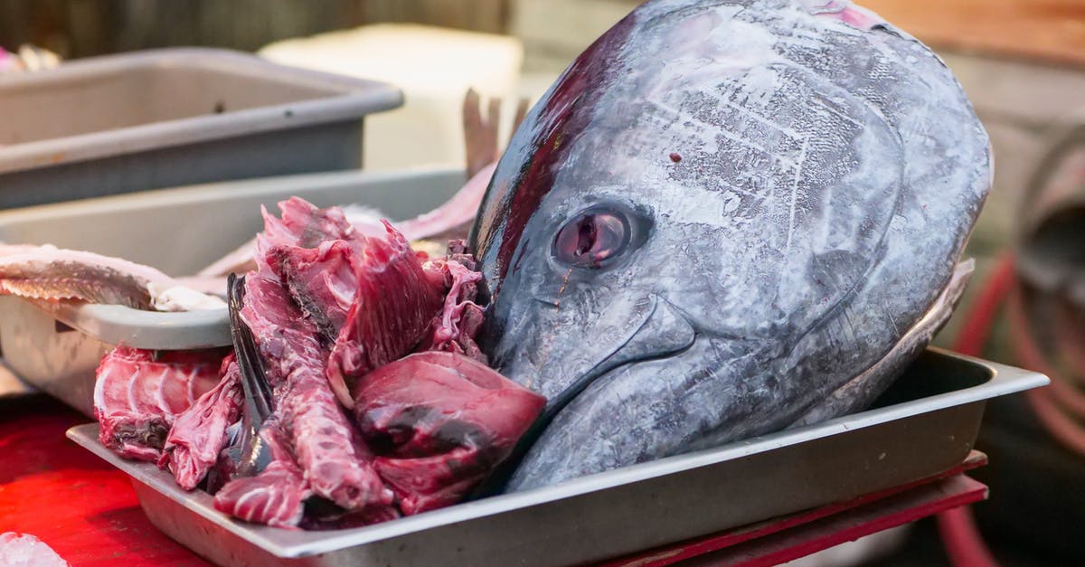 Use of thawed Beef blood - Free stock photo of ahi, ahi tuna, albacore tuna
