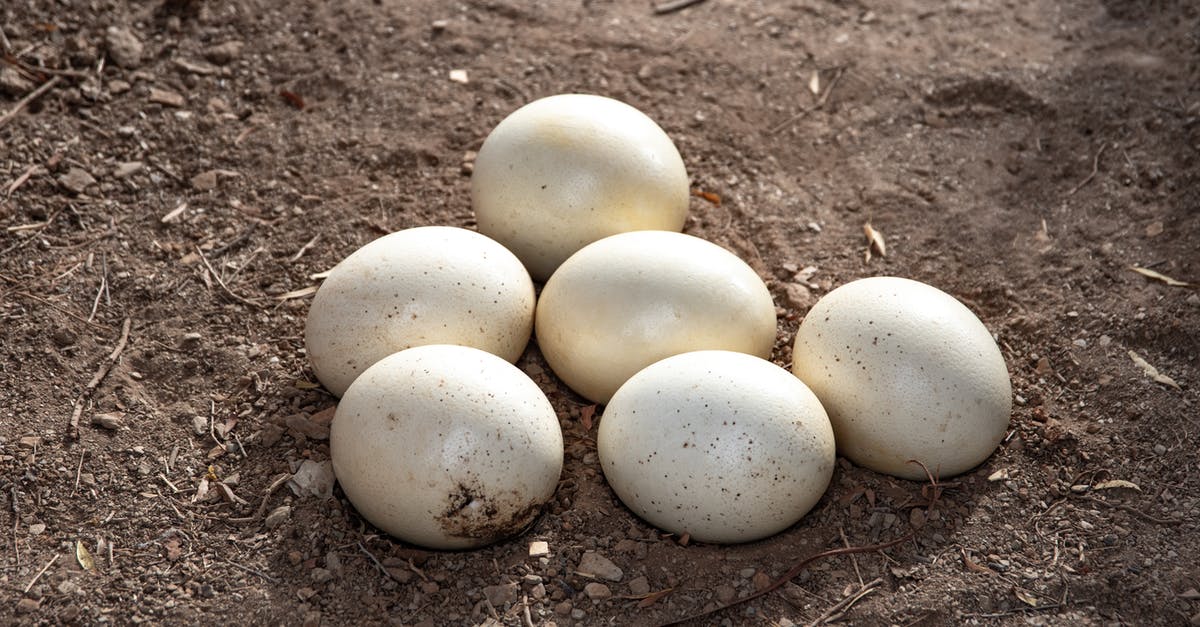 Using ostrich and emu eggs - Eggs on Brown Soil