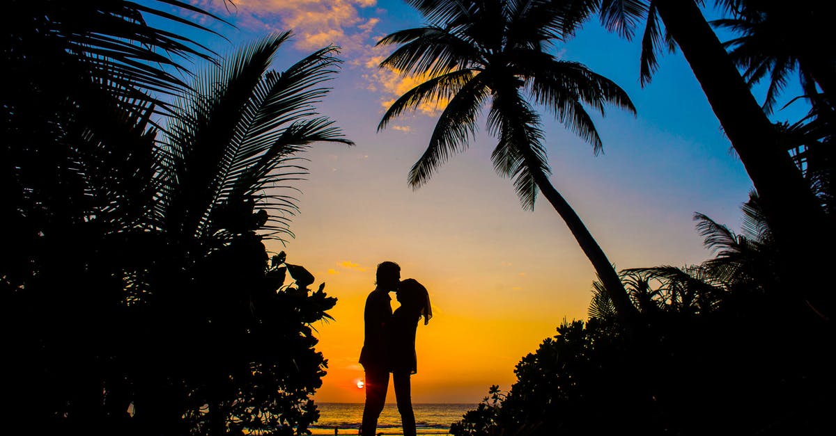 Vegetable suet without the palm oil, or an equivalent? - Silhouette of Man and Woman Kissing