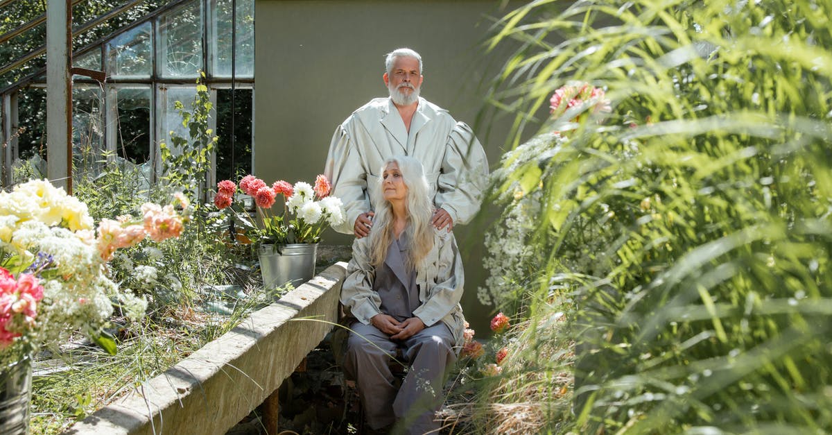 Very old sourdough starter; how long is too long? - An Elderly Couple Sitting and Standing Near Tin Pots of Flowers