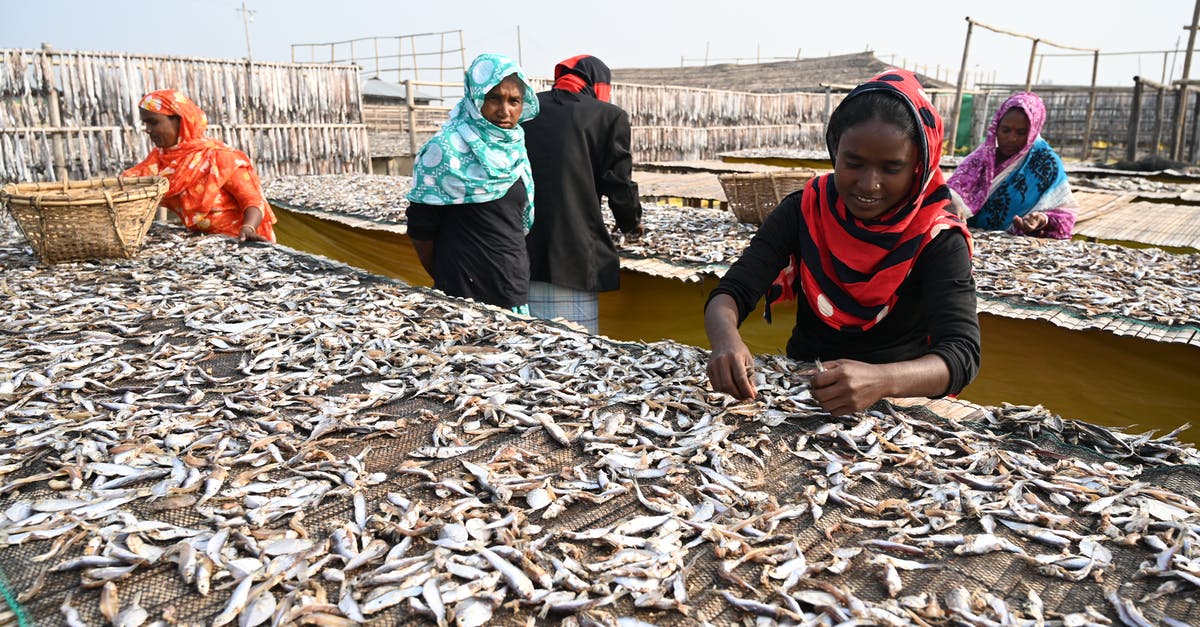 Washing or rinsing fish and seafood - Man in Black and White Jacket Sitting on Brown Wooden Dock