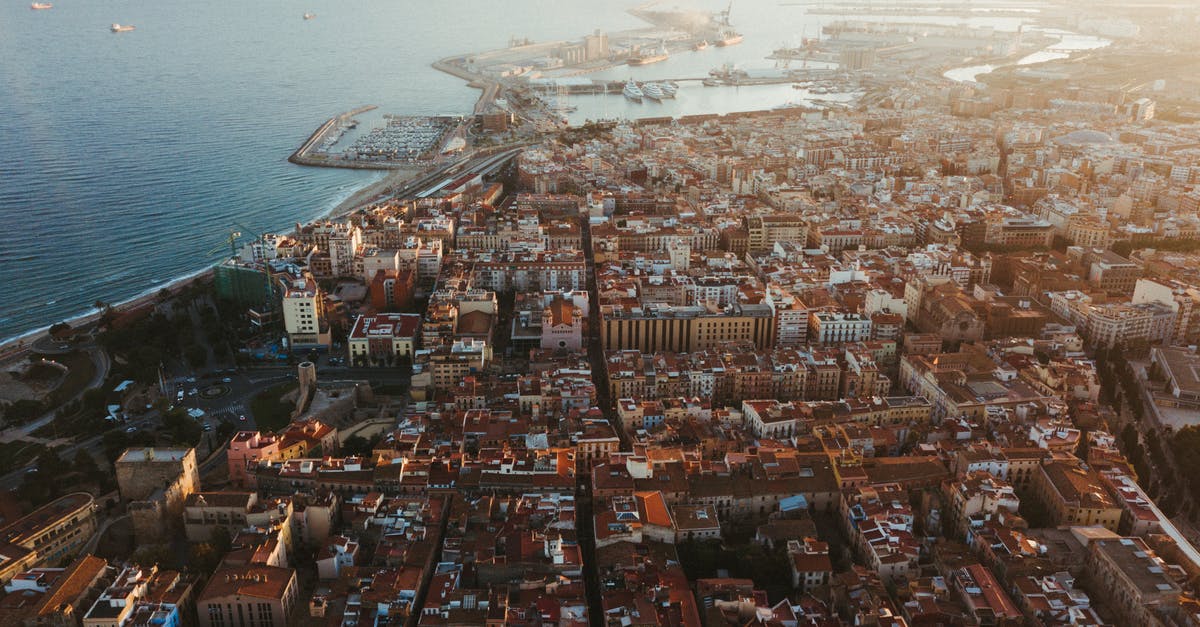 What's 香茜 or 芫荽 in English? - Aerial View of City Buildings