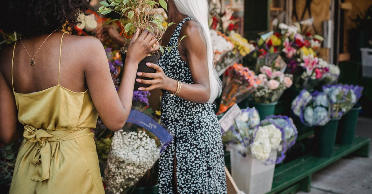 What's 香茜 or 芫荽 in English? - Woman in Yellow Sleeveless Dress Holding Bouquet of Flowers