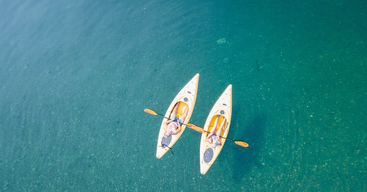 What's a good substitute for sport peppers? - Bird's Eye View of Two People Canoeing on Body of Water