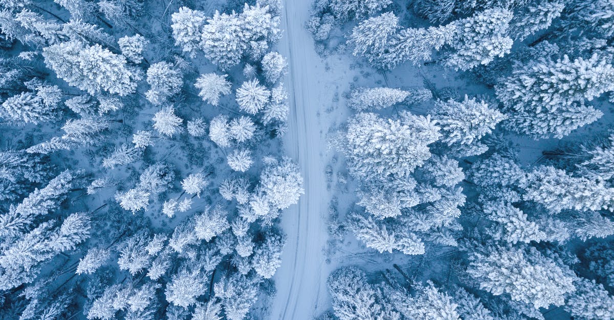 what's a good technique for freezing blueberries? - Aerial Photography of Snow Covered Trees