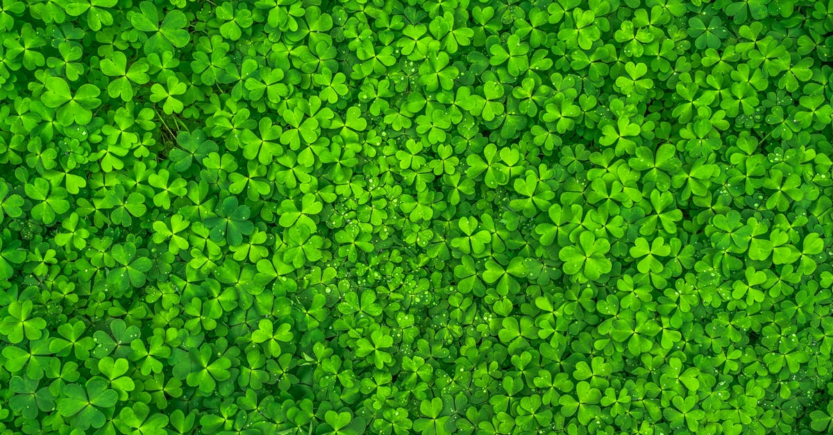 What's an acceptable substitute for Pandan Leaves? - Top View Photo of Clover Leaves