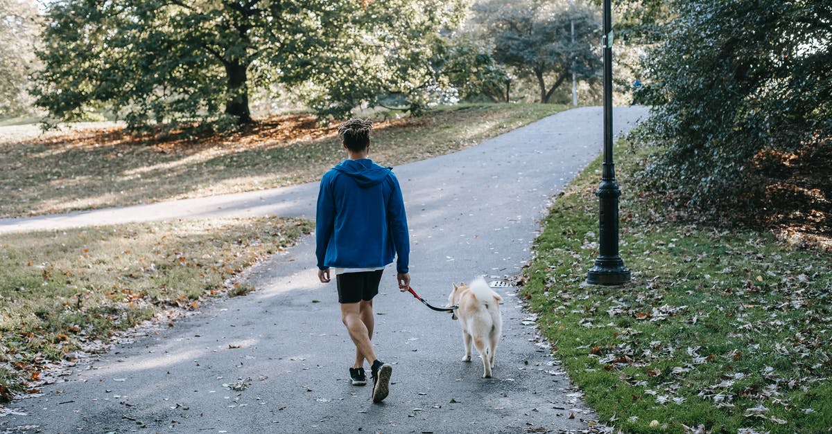 What's the best way to cook fall-off-the-bone baby-back ribs - Anonymous guy with purebred dog walking in green park