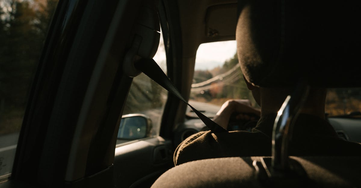 What's the best way to cook fall-off-the-bone baby-back ribs - Back view of unrecognizable person driving modern car on road amidst lush autumn trees during trip in countryside