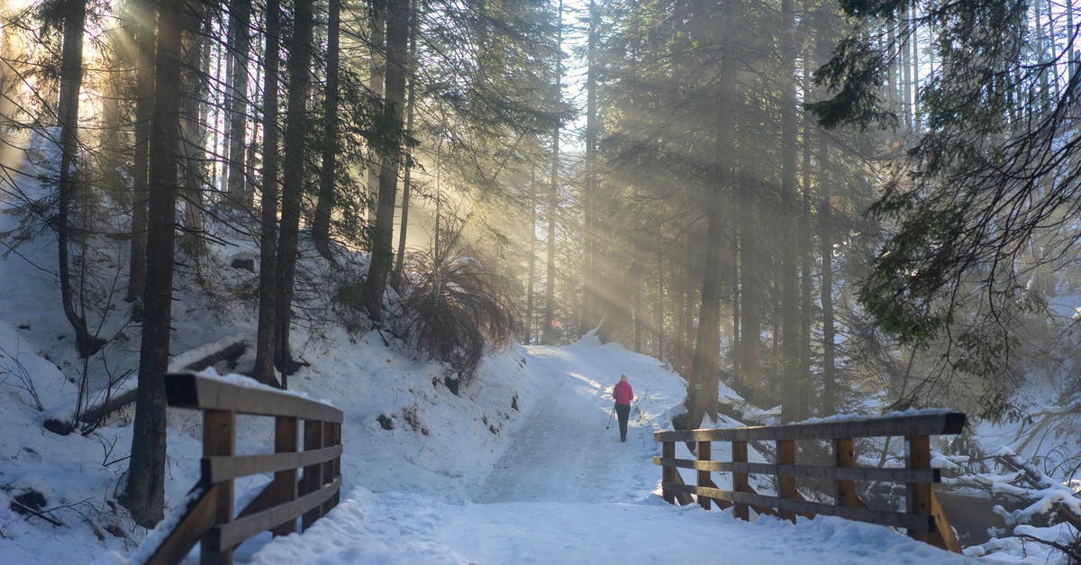 What's the best way to reheat frozen boiled potatoes? - Person in Red Jacket Walking on Snow Covered Ground