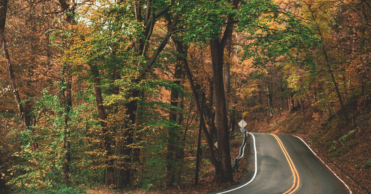 What's the best way to season a cast iron skillet? - Gray Concrete Roadway Beside Green and Brown Leafed Trees