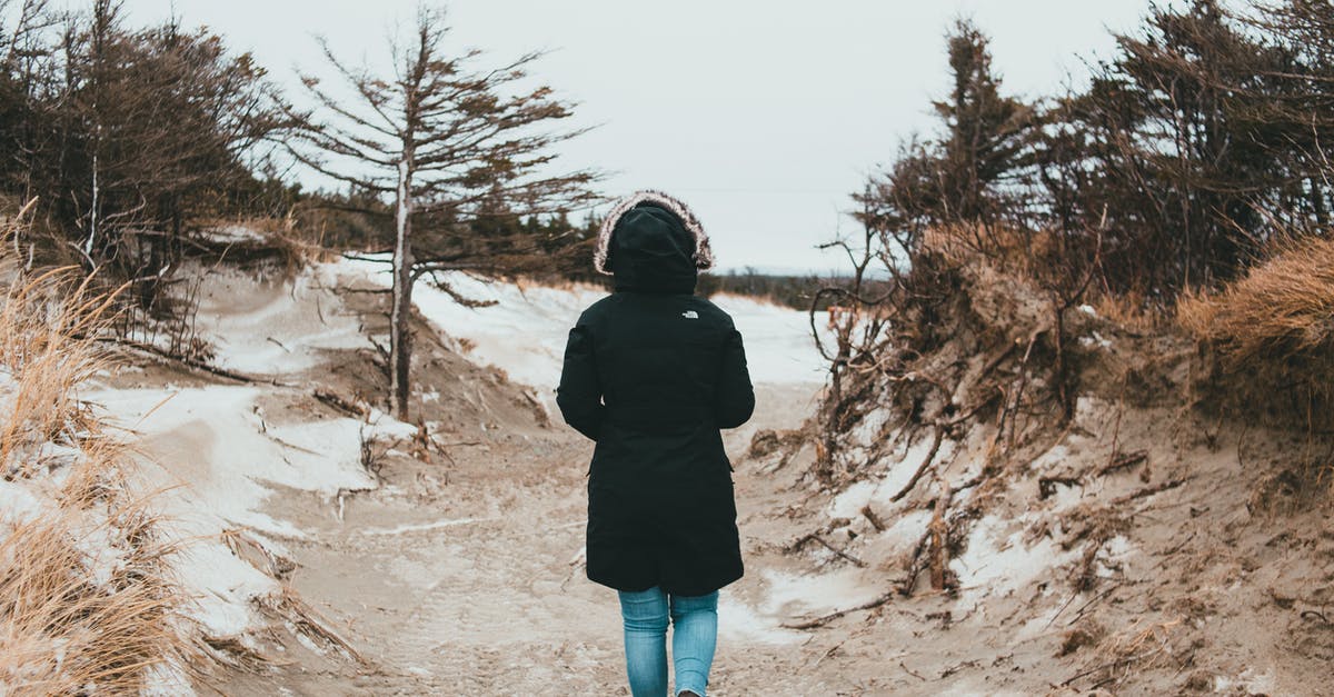 What's the best way to store (freeze) purchased ground beef? - Back view full body of anonymous person wearing warm clothes strolling on rural path among trees on cold winter day