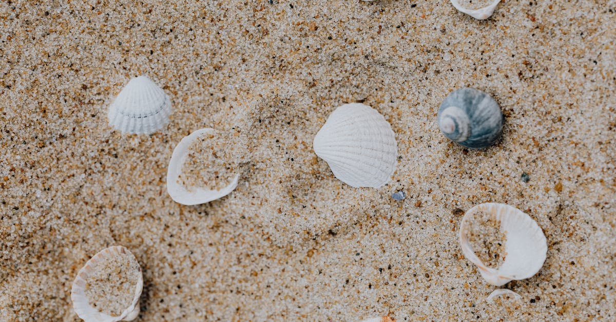 What's the closest replacement for clam juice? - White and Brown Seashells on Brown Sand