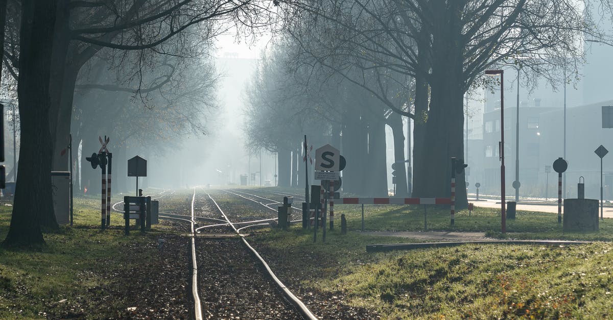 What's the difference between a burrito and a tortilla? - Black Train Rail Near Bare Trees during Foggy Day