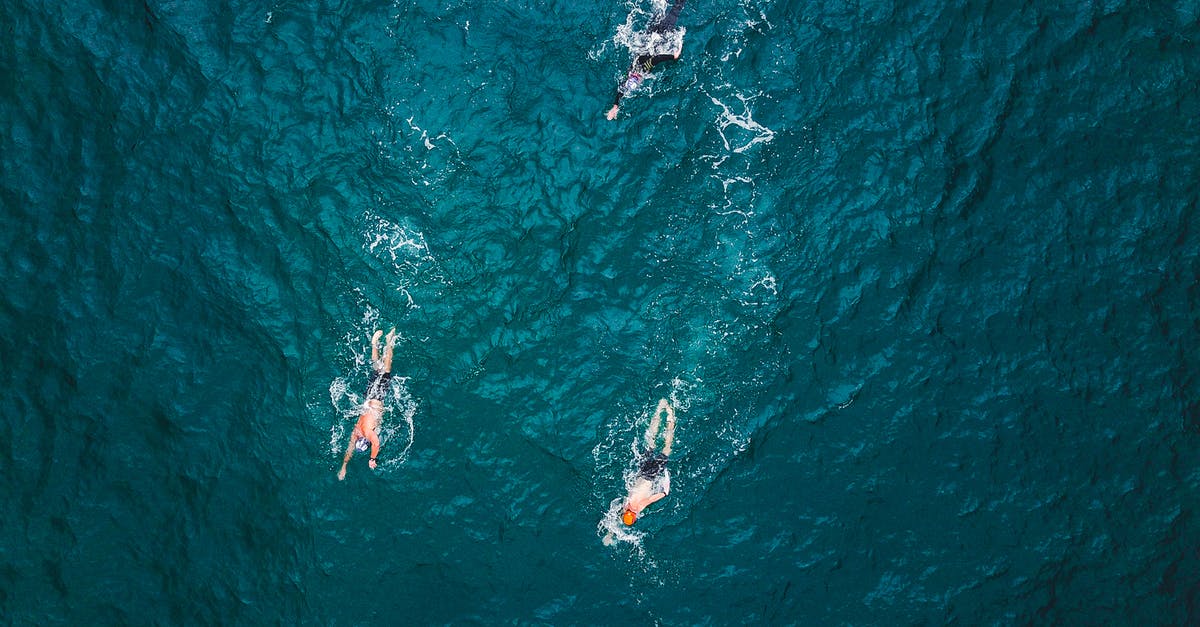 What's the difference between a deep fryer and a chip pan? - Person Swimming on Ocean