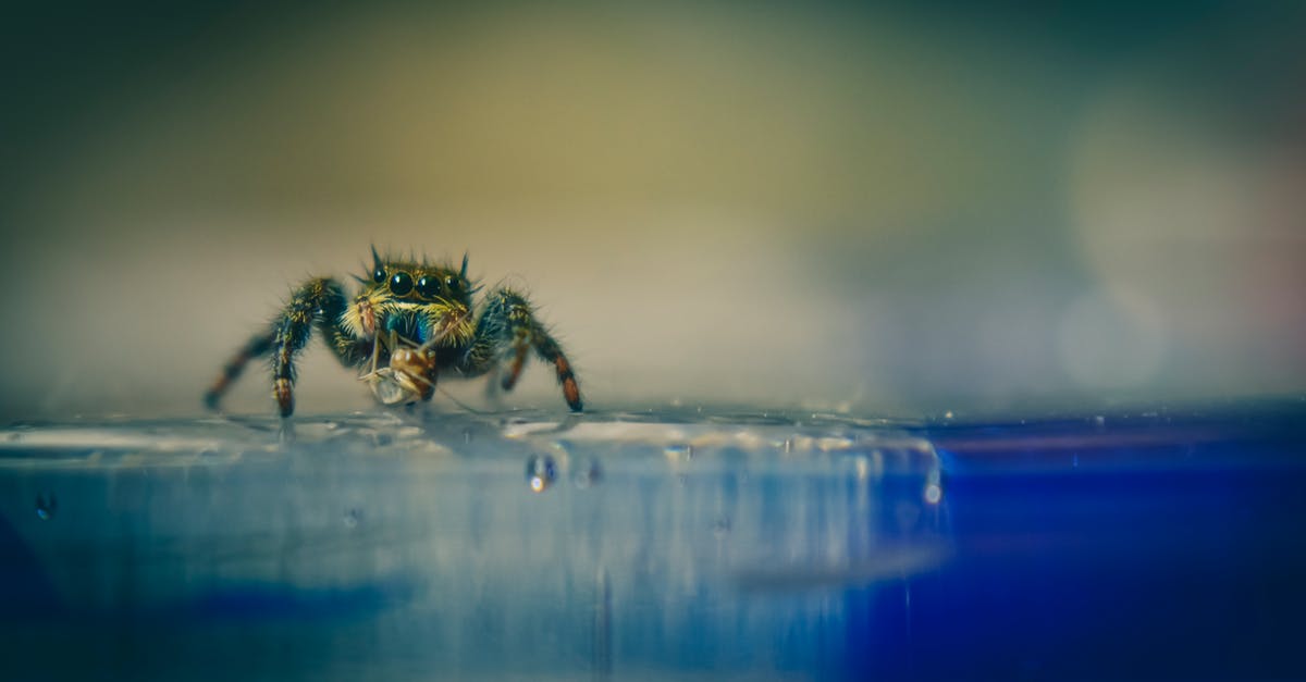 What's the trick to seal sous vide foil if liquid contained - Small spider crawling on water surface