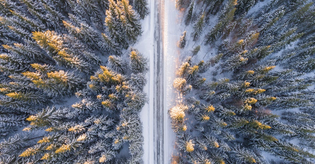 What's wrong with keeping frozen vegetables in refrigerator? - Aerial Photography of Road in Forest