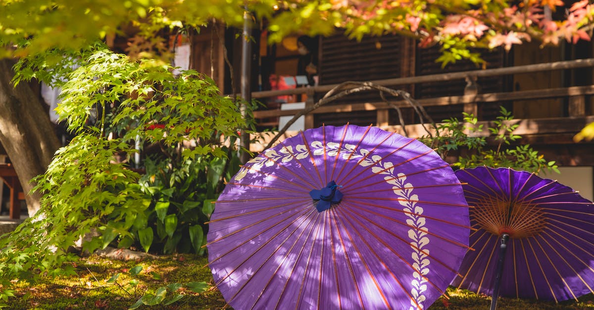 What are East Coast Chinese Chicken Wings marinated in? - Lilac umbrella in garden near house