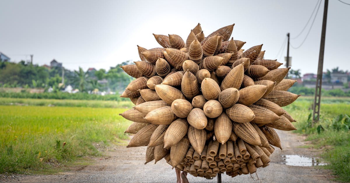 What are some ways to prepare beet greens? - Back view of unrecognizable person with bicycle and huge bunch of traditional bamboo fish traps walking on road in green valley