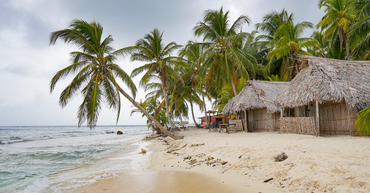 What are substitutions for coconut in curry? - Free stock photo of beach, bungalows, carribean