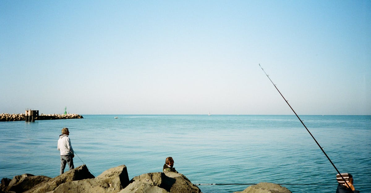 What are the categories of fish? - Man in White Shirt Fishing on Sea