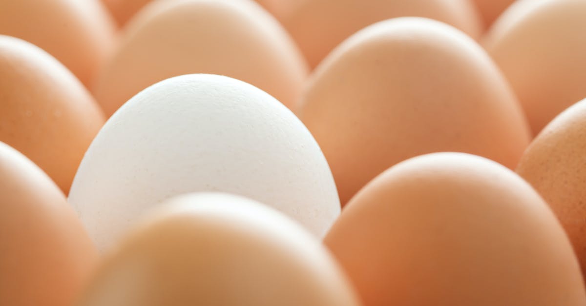 What are the differences between egg whites and egg yolks? [closed] - Background of whole chicken eggs in rows