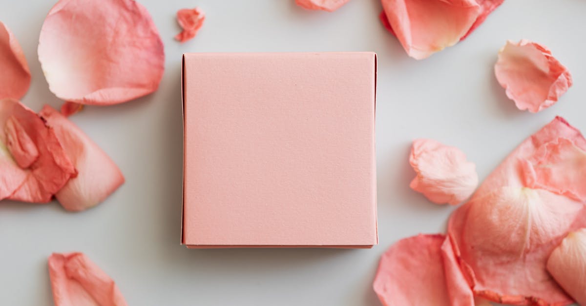 What are the effective ways to wrap a pita? - Top view of close up colorful gift box with scattered pink petals on smooth white surface