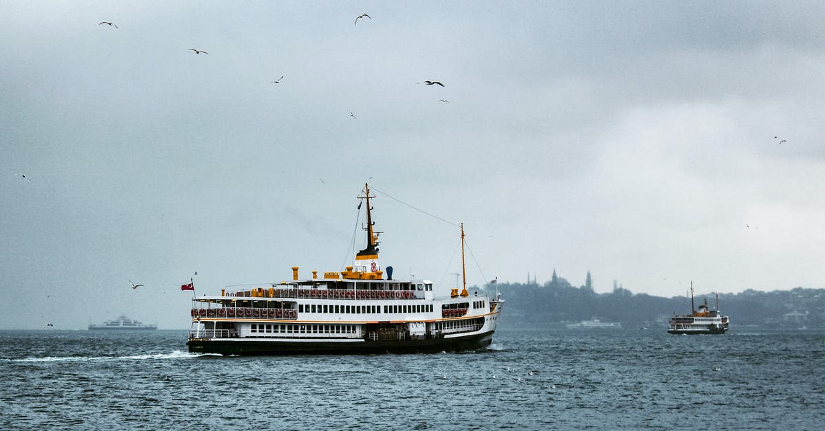 What are these dark areas in turkey meat? - Seagulls Flying Above White Ship on Sea During Gloomy Weather