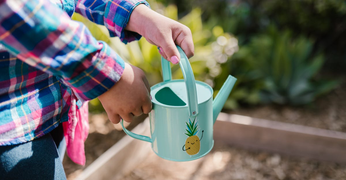 What can I substitute for pineapple in punch? - Woman in Bright Plaid Shirt and Pink Nails Holding Teal Watering Can with Pineapple Illustration